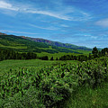 Crested Butte Colorado, Gothic Mountain